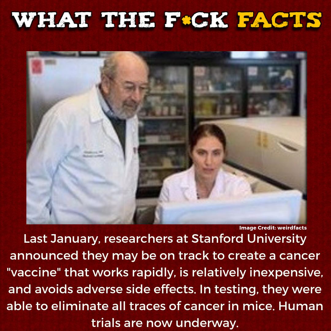 WhatTheFFacts's tweet photo. https://t.co/9wUqhfw2q1