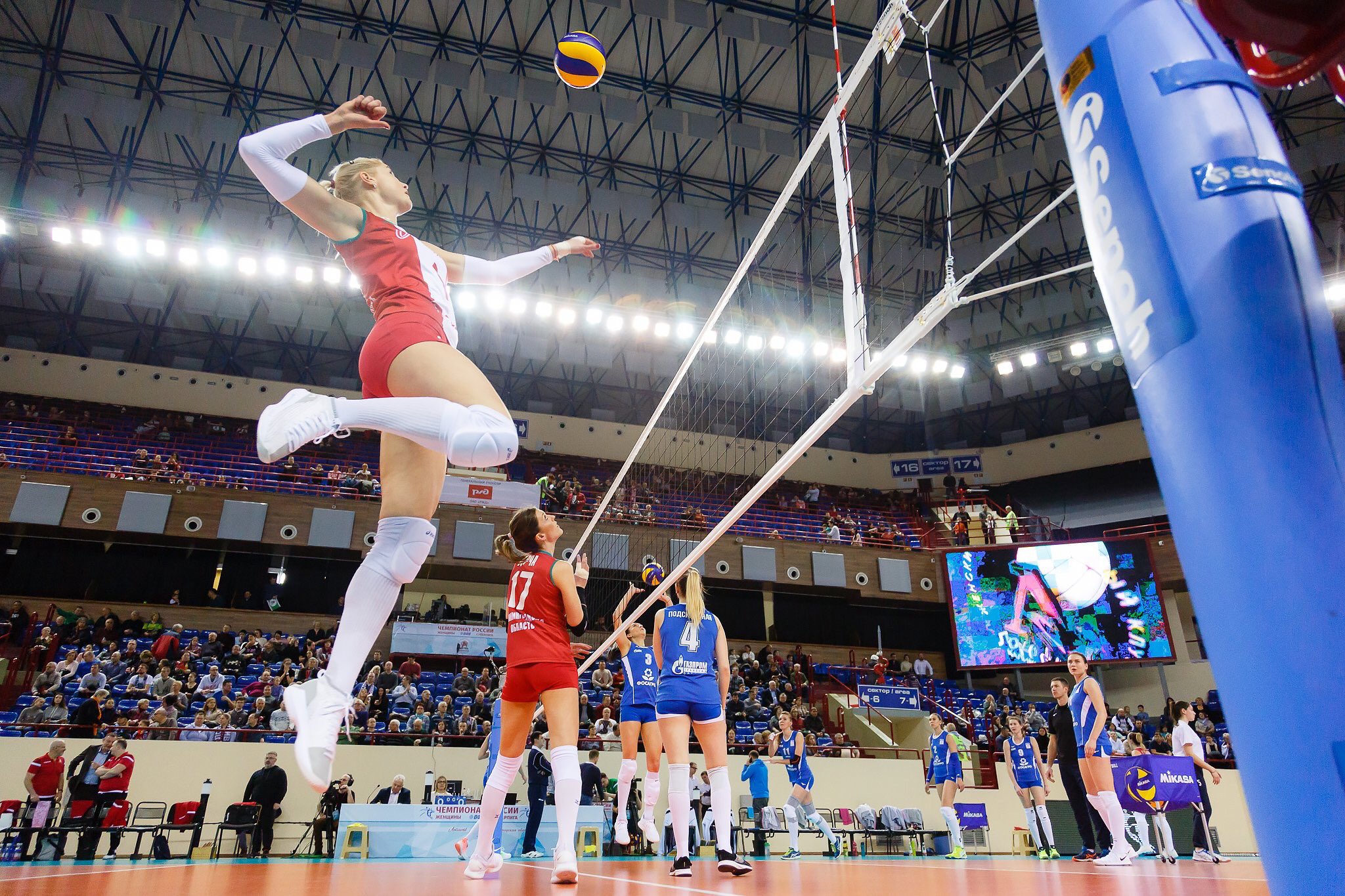 Volleyball live betting odds wti crude oil price investing in bonds