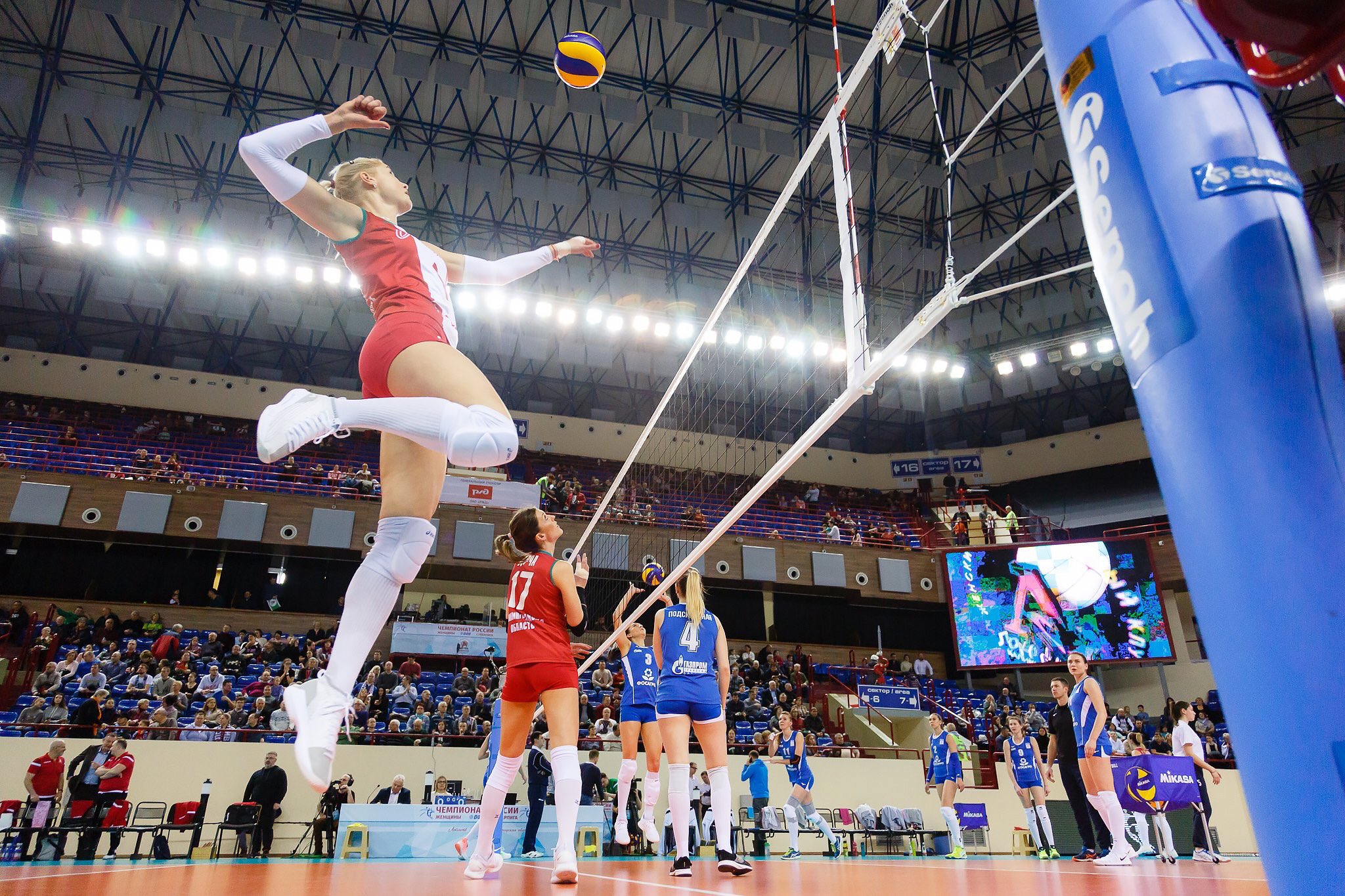 Volleyball live betting odds Volleyball live betting odds wti crude oil price investing in bonds