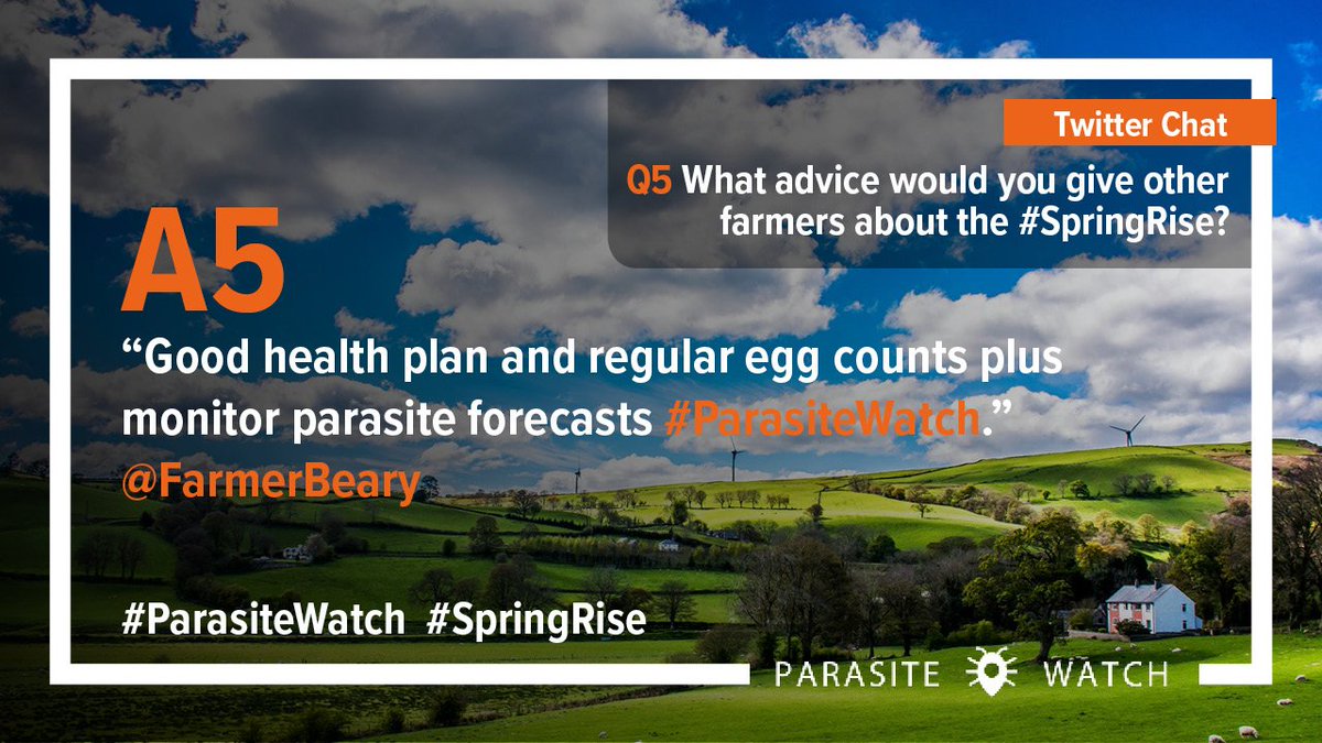 sheep_farmers's tweet photo. Great advice for question 5 @FarmerBeary #ParasiteWatch #SpringRise https://t.co/khBFVsjncv
