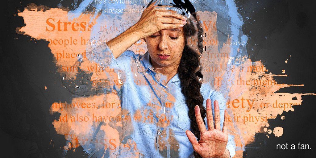 not a fan. tweet media