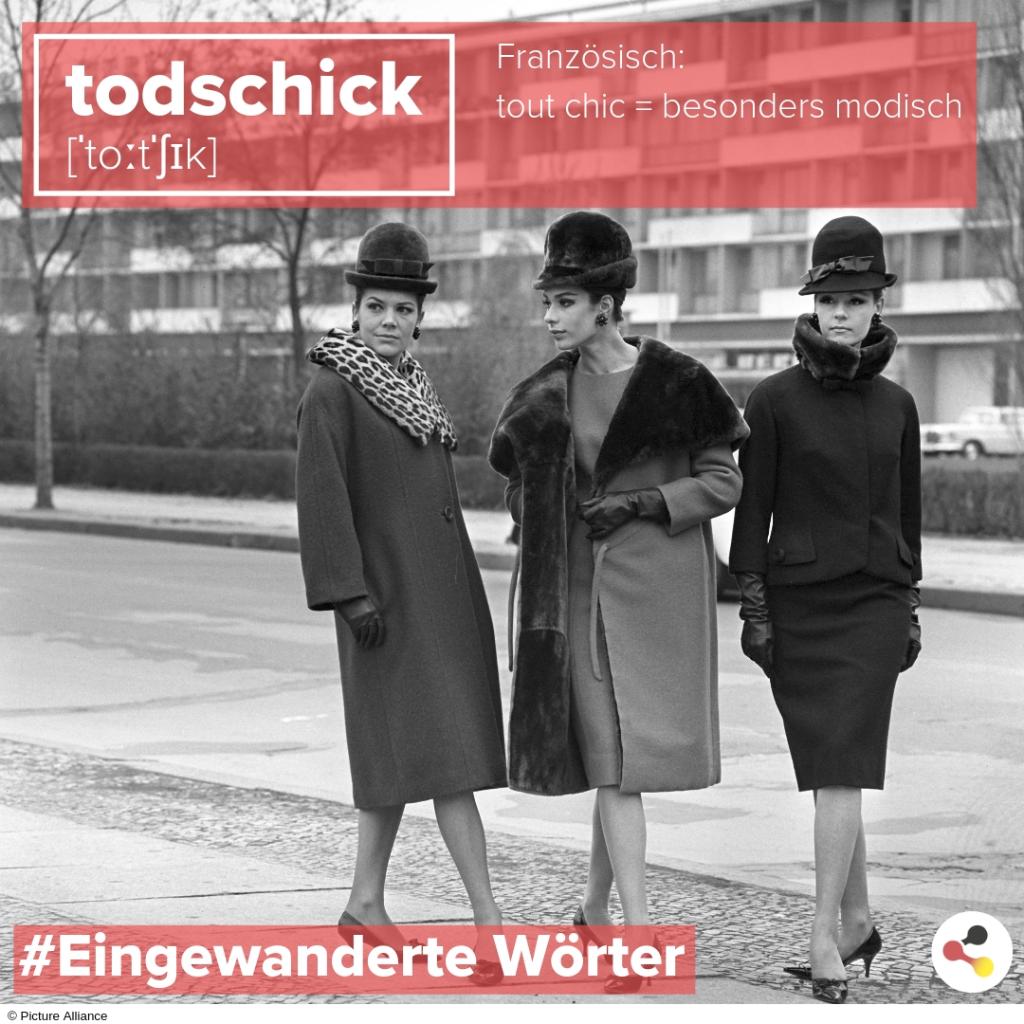 Deutschland De On Twitter Im Deutschen Gibt Es Viele Worter Die Aus Anderen Sprachen Eingewandert Sind Heute Todschick Um Schick Zu Sein Muss Aber Zum Gluck Niemand Sterben Ist Jemand Modisch Gekleidet