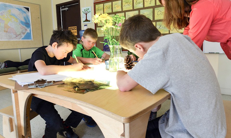 naturalpod's tweet photo. Light tables offer endless invitations for learning. #lighttable #projecttable #learninginvitations https://t.co/wTgDBUpVzB https://t.co/WVJeQNDdvY