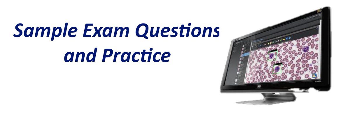 TheABPath's tweet image. The ABPath website has a lot of helpful information if you are preparing for the spring primary exam. Check out these sample questions to familiarize yourself with the format and a chance to practice with virtual microscopy slides abpath.org/index.php/taki… #pathology #ABPath #exam
