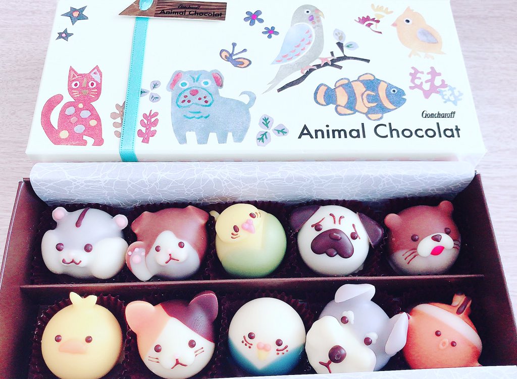 可愛すぎる動物のチョコ🍫🐶🐱🐦💕
こんなの作ってみたい🤤✨✨