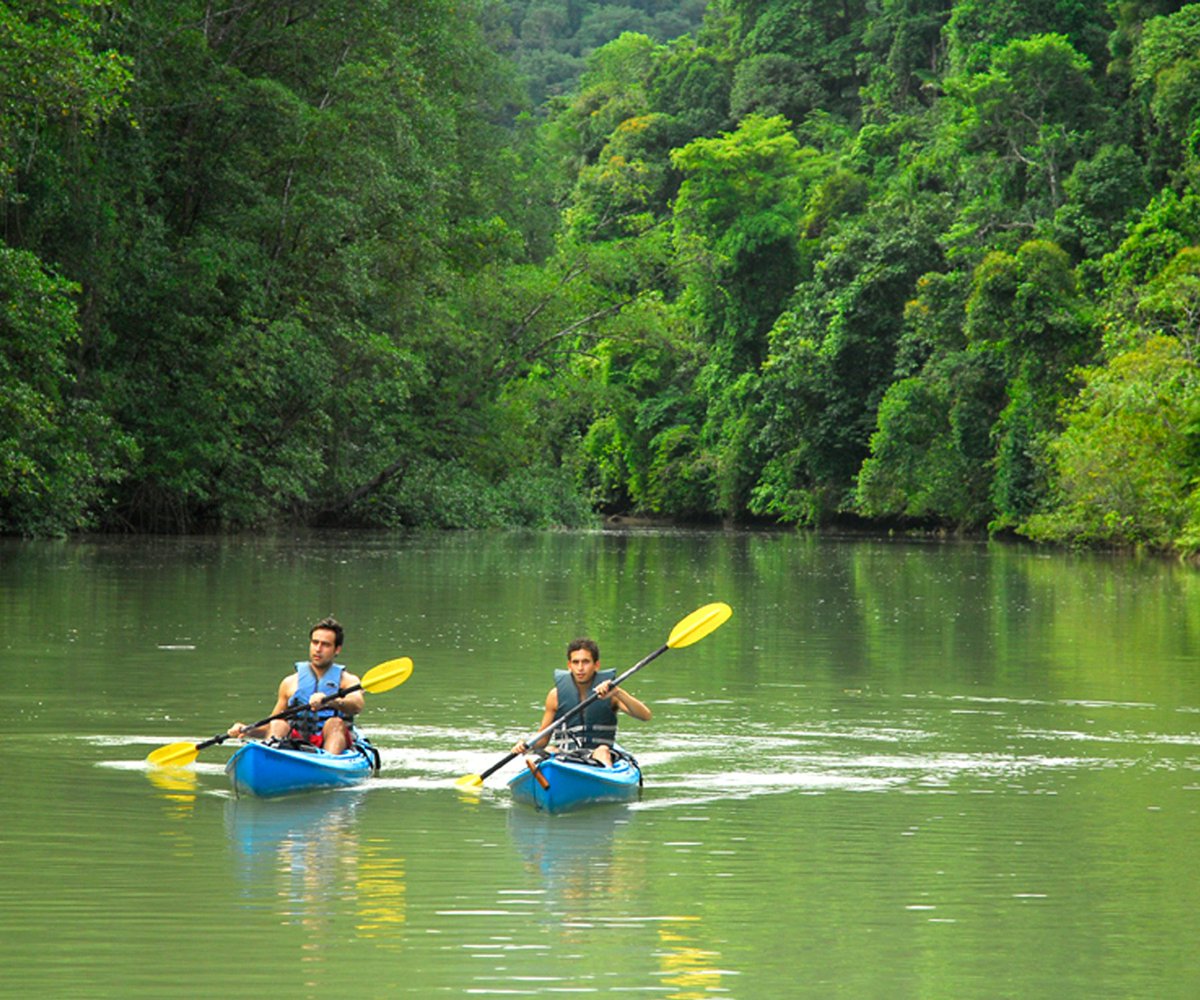 Explore the rainforest mangroves on a kayak, keep your eyes open to explore the wildlife hidden on the majestic scenery 💚
<a href="/NicuesaLodge/">Playa Nicuesa Lodge</a> member of <a href="/EnchantingCR/">Enchanting Hotels</a>