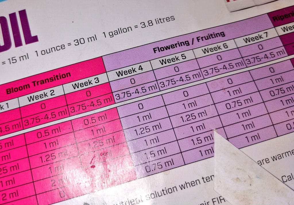 Green Test tweet media