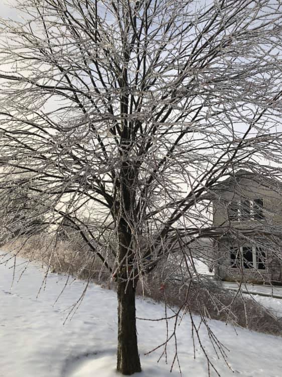 ThePingrySchool's tweet photo. Seen around campus - Photographer English Teacher Audrey Enriquez ๐ท #PingryPride https://t.co/qWThNtk2Uq