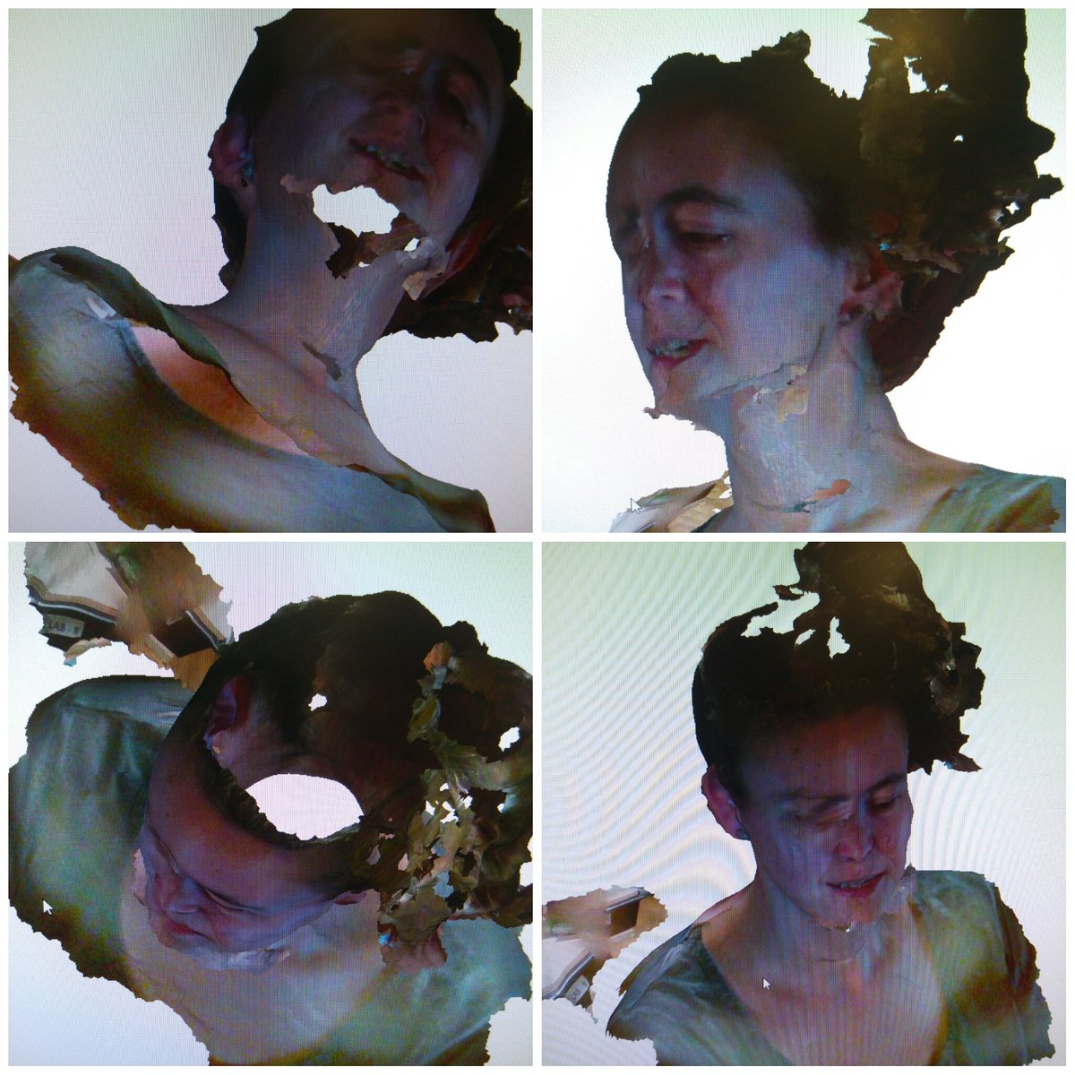 carreras_anna's tweet photo. #portrait #bigGAN? #AI? #sincerebro #creativecode #3Dcloud https://t.co/xukiYQ1aOa