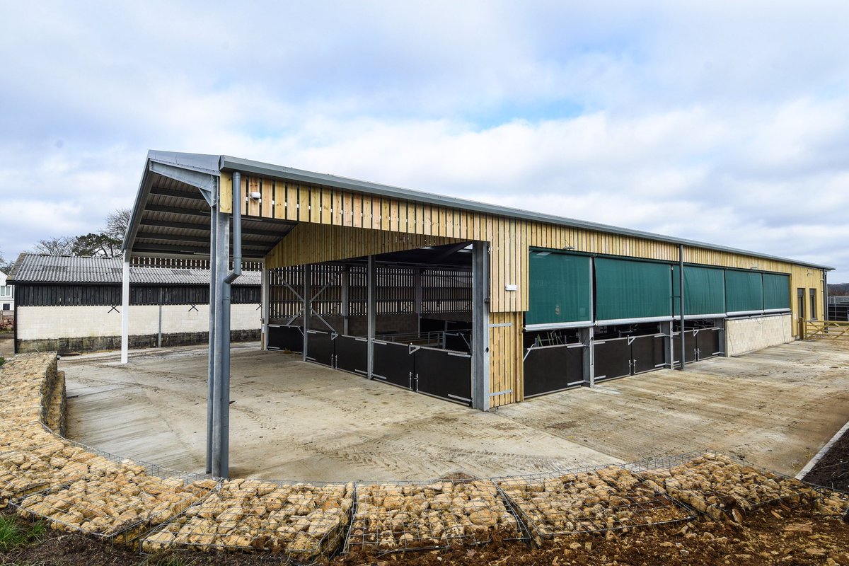 PMP Consultants Ltd tweet media