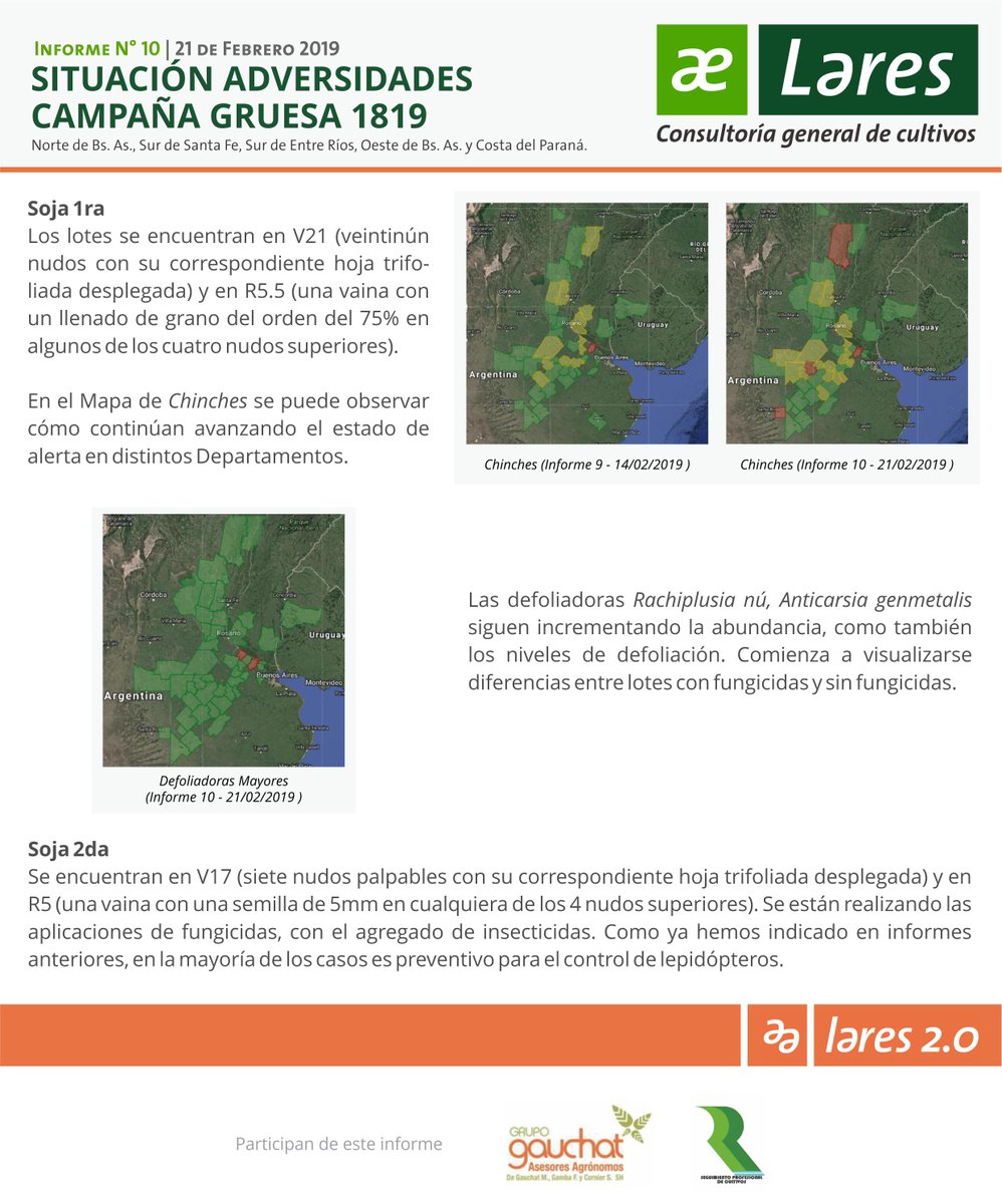 LaresSRL1's tweet photo. 📢 Nuevo #InformeLares 🌱Lo más destacado: En Soja 1era avanza el complejo de #chinches en varios departamentos. Respecto a #Defoliadoras #Rachiplusianú y #Anticarsiagenmetalis siguen incrementándose como también los niveles de defoliación. 🧐 Mirá el reporte completo 👇 https://t.co/GVAOLscn9q
