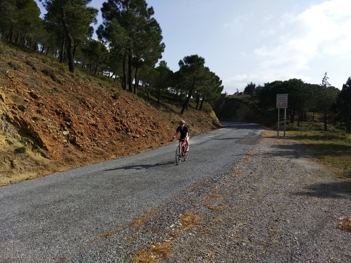 Weer nieuwe (terugkerende) gasten. Fietsdag 1 om erin te komen rondje 50km.
strava.com/activities/216… #strava