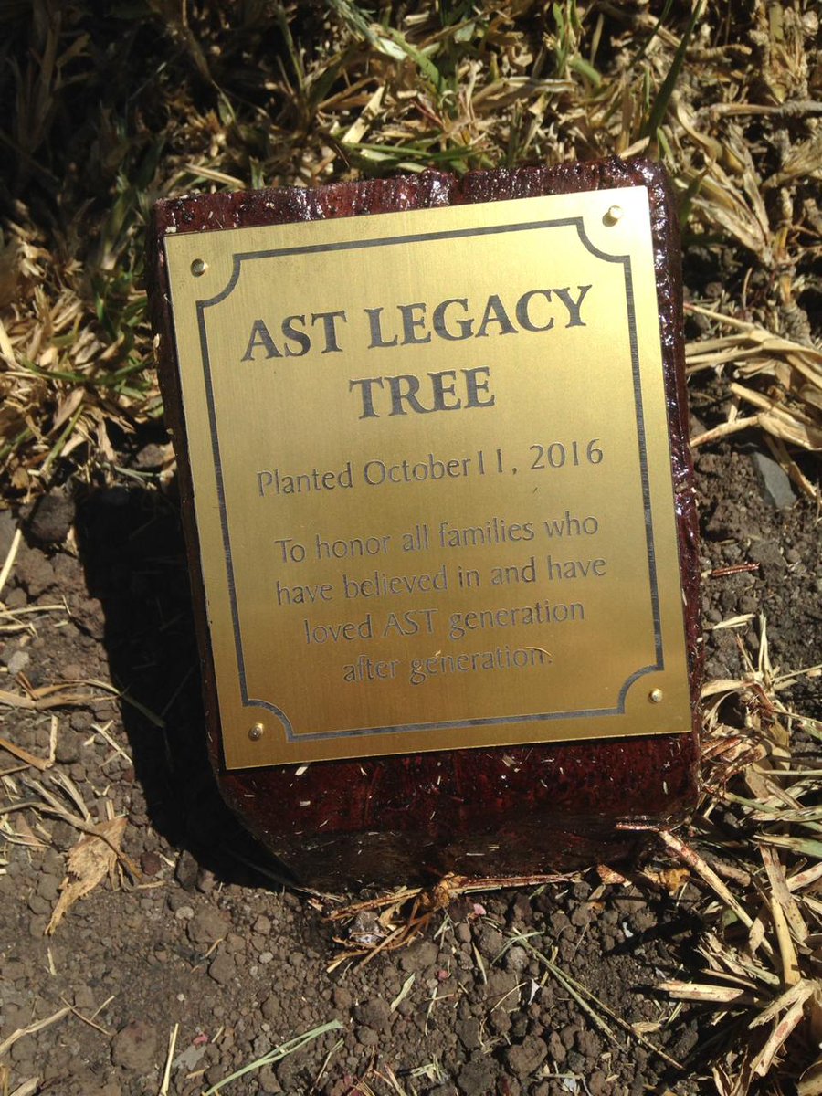 americanschool's tweet image. AST&apos;s #LegacyTree was planted on Oct. 11, 2016 during Legacy Breakfast activity. Legacy at AST is celebrated with families who have 3 or more generations of eagles. We commend their love and loyalty to the institution. Check out this beautiful tree in front of our Legal Office!
