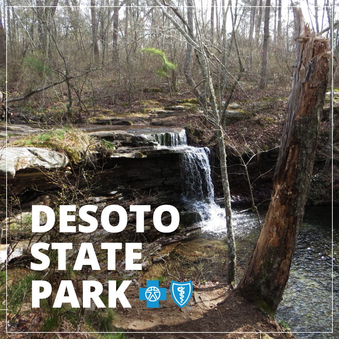 BCBSofAlabama's tweet photo. It’s American Heart Month and we want to encourage all our members to get out and stay active. Our friends at @RootsRated ranked the 5 best Alabama state parks for hiking. https://t.co/27u2uFGHtF  #BCBS #bcbsal #AlabamaBeautiful #SweetHomeAlabama #HikeAlabama https://t.co/iUKVXsJcdX
