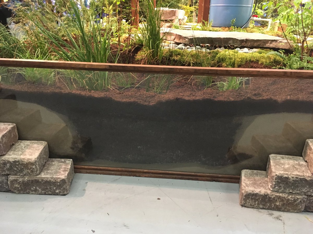 Remind us that what’s under the ground counts too. Ivey Sound. Observation District #nwfgs