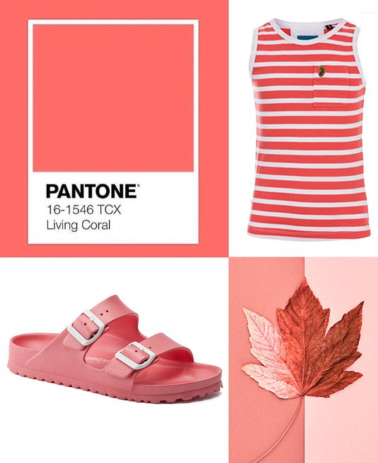 backstagecol's tweet photo. El Pantone 16-1546 llamado Living Coral “brinda confort y estabilidad" y "llena de calidez y aliento" a una sociedad en constante cambio frente a "la embestida de la tecnología digital y las redes sociales".
#BackstageCol #BackstageMedellin #TipsDeModa #ModaColombia #medellincity https://t.co/ynR1shtO8i