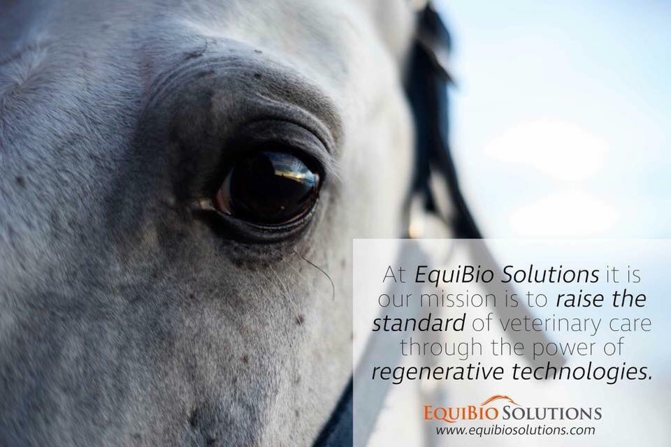 EquiBioSolution's tweet photo. Learn all about #EBS and the technology behind it at https://t.co/237lHkIq3a #EquiBio #RegenerativeMedicine #RegenerativeTechnology https://t.co/TsqbtPM1S4