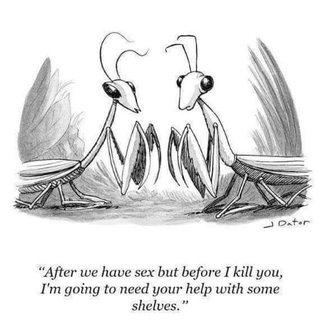 If you wanna be my lover...you have to do manual labor and be willing to die. https://t.co/FAatQjcQK<a href="/tag/amberroseslutwalk"class="tags"><span>#amberroseslutwalk</span></a><a href="/tag/slutwalkla"class="tags"><span>#slutwalkla</span></a>