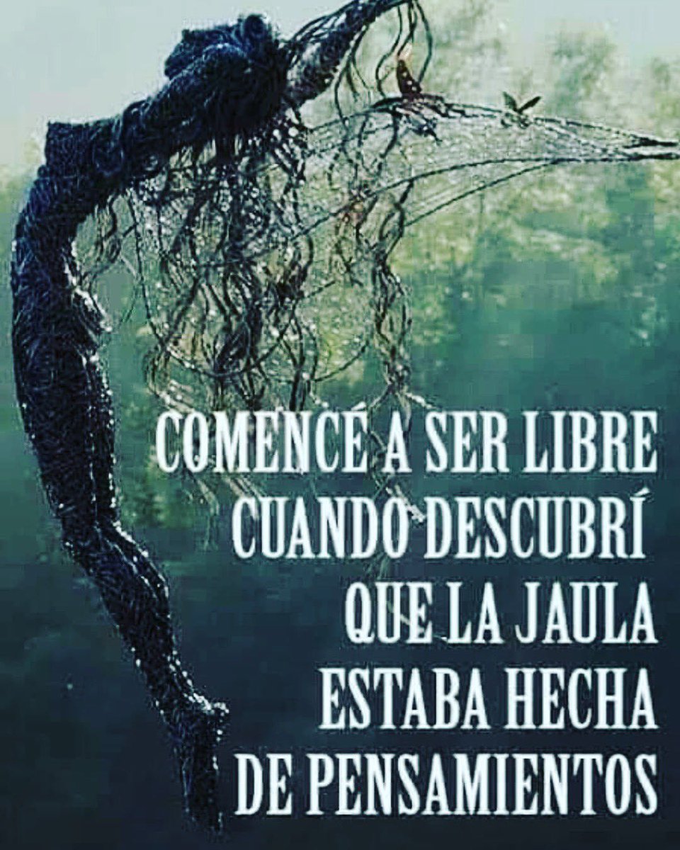 SilvaJeanette's tweet photo. Así es #VivirSinMiedo #VivirSinPermiso #VivirHOY #VivirBailando #VivirBailando https://t.co/3ltss27GSA