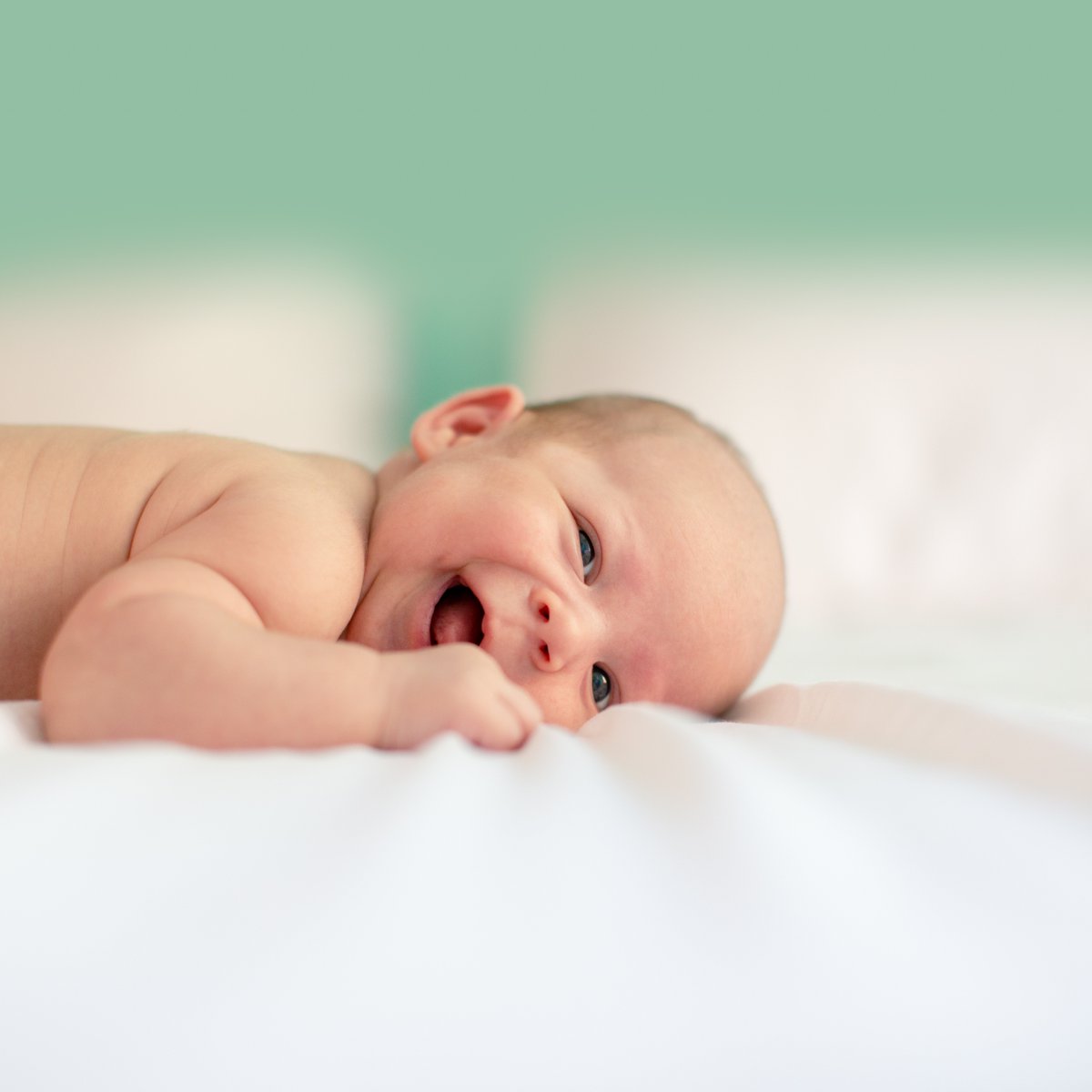 Lifekind's tweet image. As a parent, you want the best for your child. Investing in their health goes beyond the food they eat—it includes the bedding they sleep on. Find organic mattresses, blankets, and household items for your entire family at Lifekind! bit.ly/2Bm4VoR