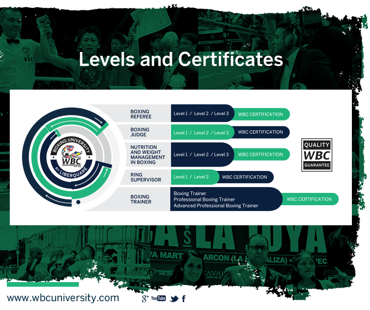 WBCUniversity tweet media