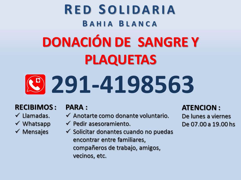 red_bahia's tweet photo. https://t.co/FhtyocK6OA
