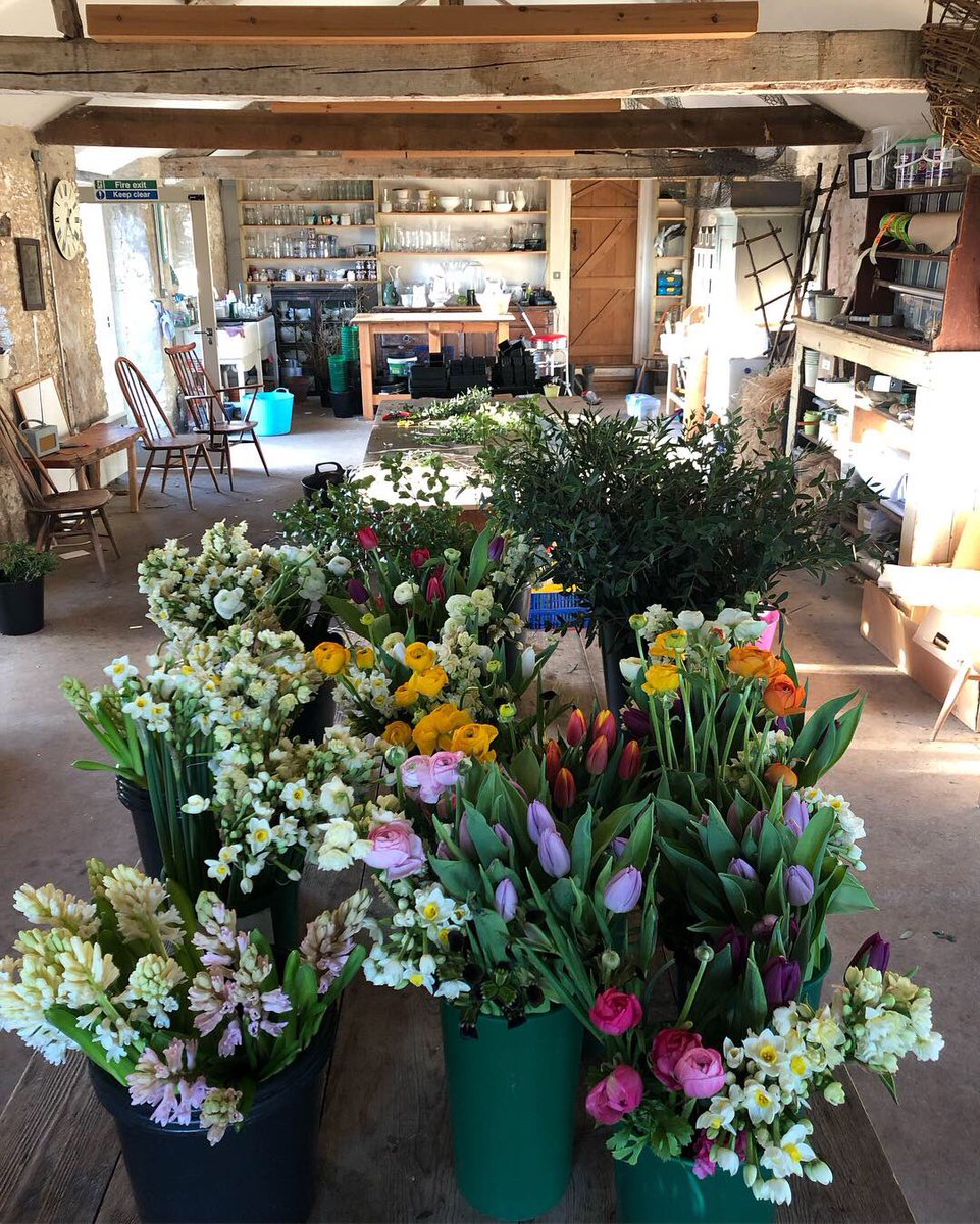 Not such a quiet day in the office but eventually we get it all done - working from home while kids on half term is not easy - but at least I don’t have to find childcare. #britishflowers #flowerfarmersyear #flowerdelivery #heresoneimadeearlier