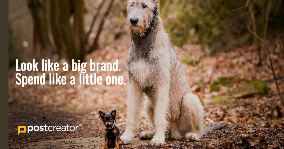 postcreator's tweet image. This venture is going to the dogs. 

#brandbig
#spendlittle
