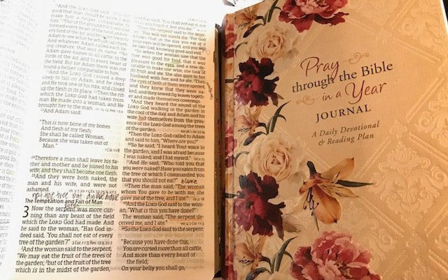Bible2Blog's tweet image. Pray through the Bible in a Year Journal bible2blog.wordpress.com/2019/02/21/pra…