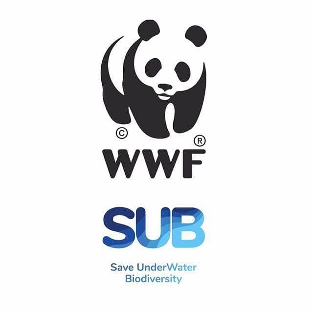 WWF S.U.B. tweet media