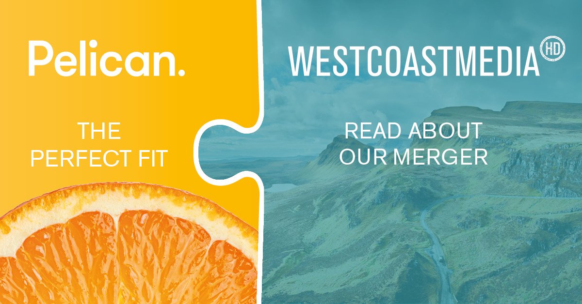 Pelican Design tweet media