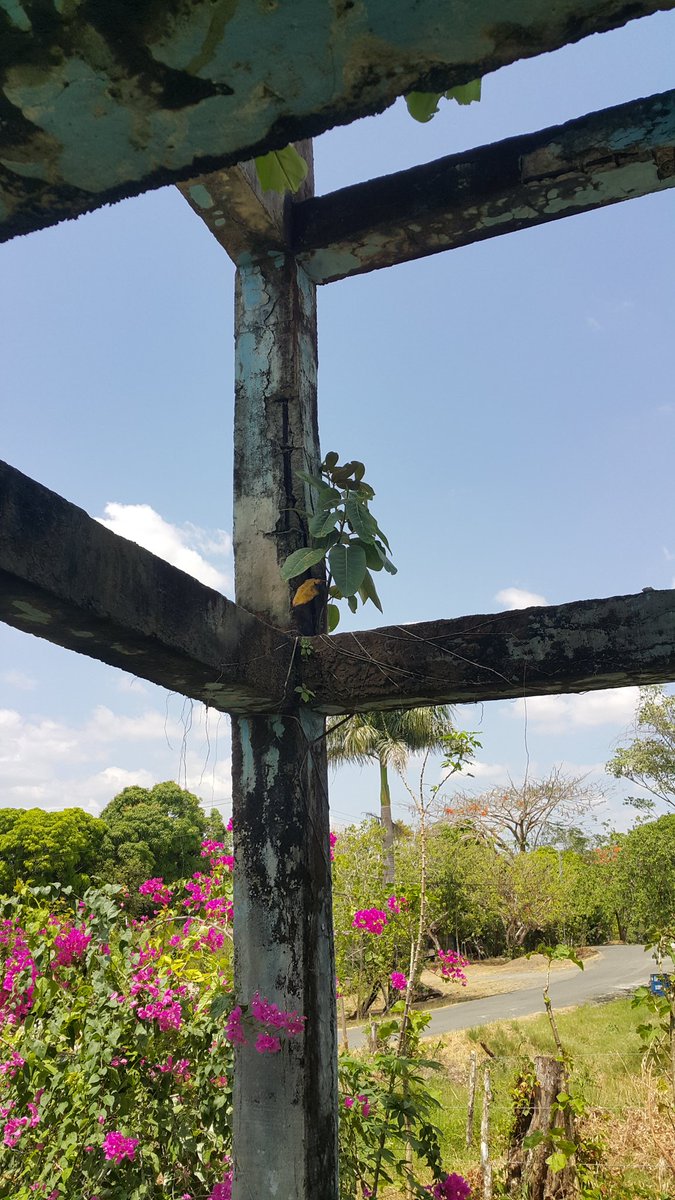 PLUTONMAX's tweet photo. @Sinaproc_Panama https://t.co/LeSFYK9rCs