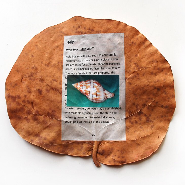 DataRefuge's tweet image. Friends of #DataRefuge in #philly: come by @AnnenbergPenn for artist Amy Balkin’s talk on “Making Climate Data Public” cosponsored w @ASCmediarisk. Feb 27 12-130. In the meantime learn more about her past work at tomorrowmorning.net #dataatrisk