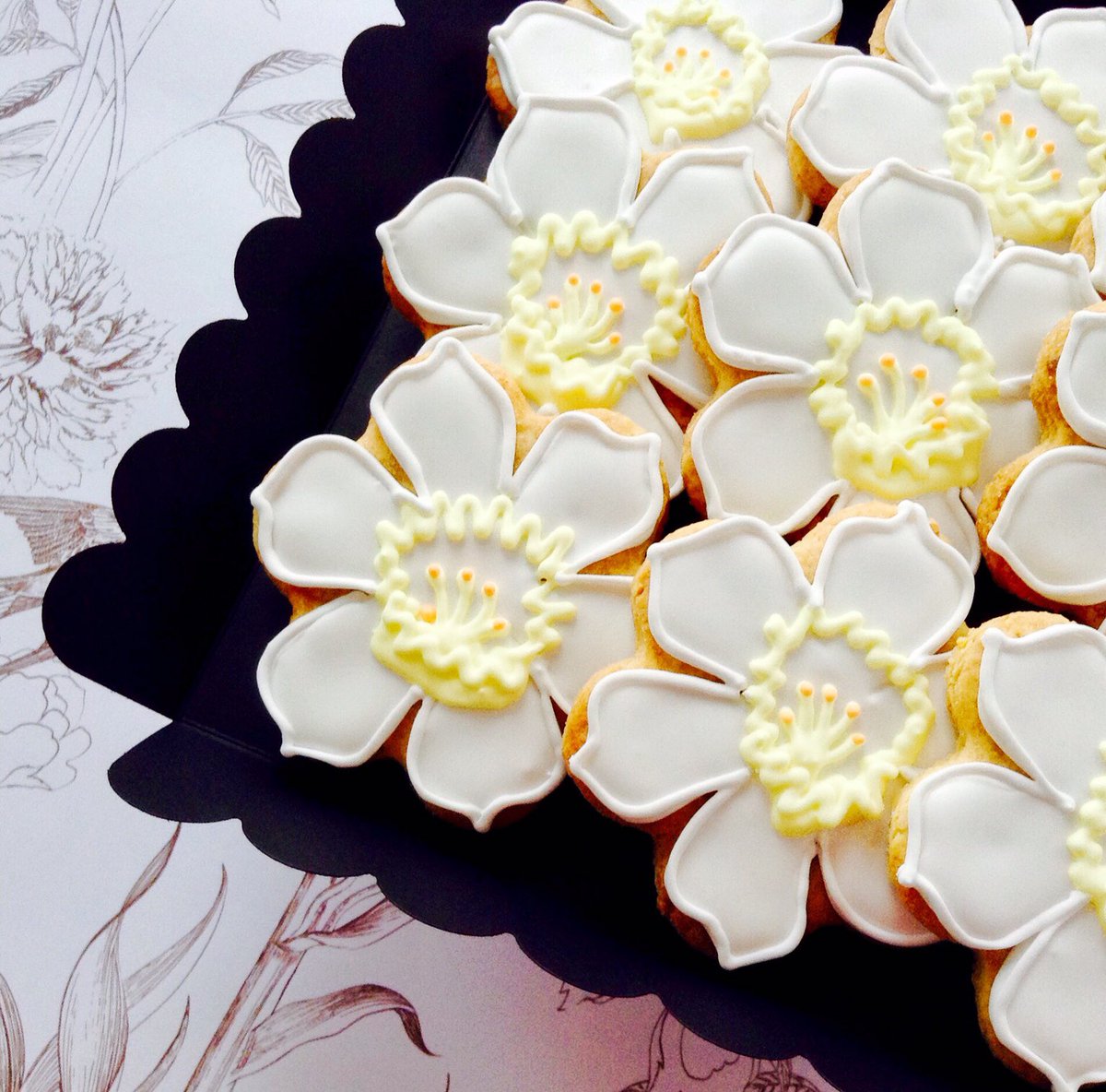 What a gorgeous Spring day!
Lovely to see some daffodils out and enjoying the sunshine too.