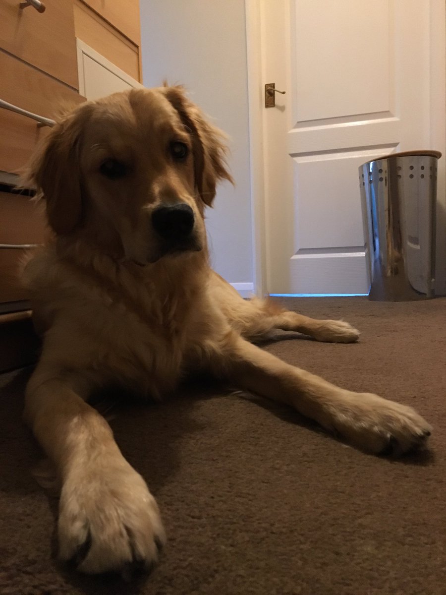 Kate Sutton MEd CSciTeach tweet media