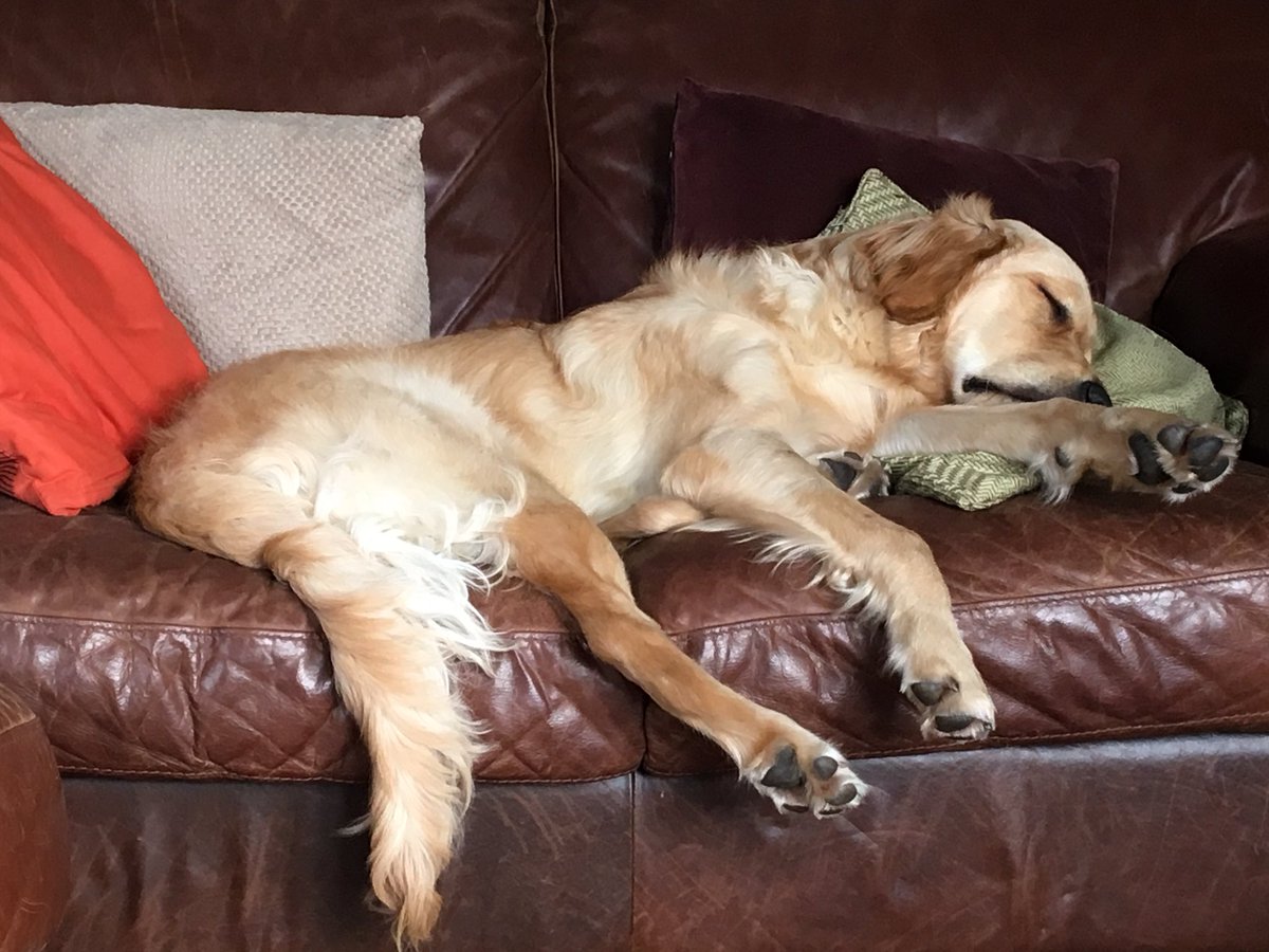 Kate Sutton MEd CSciTeach tweet media