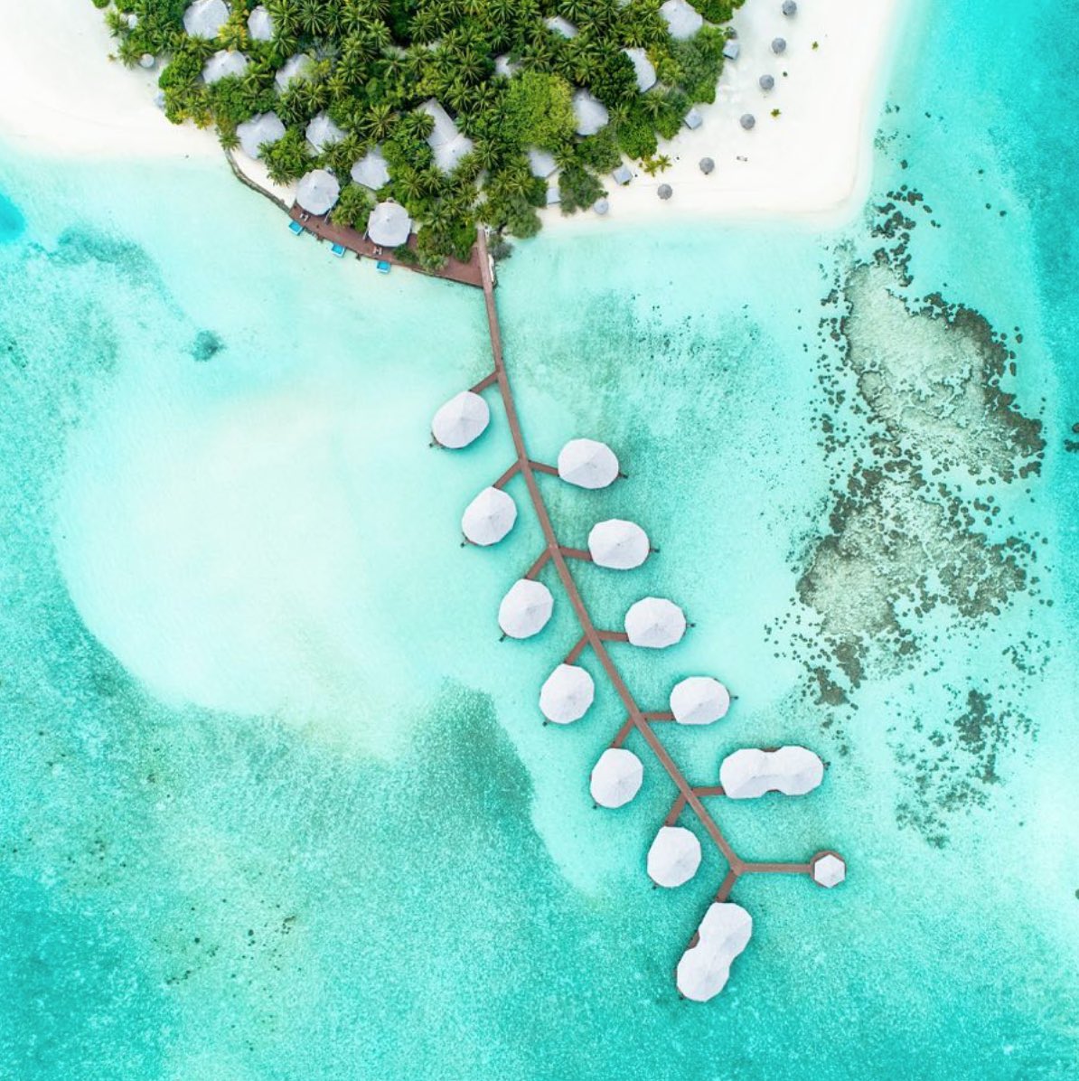 Bringing <a href="/heywedidthat/">WeDidThat</a> to <a href="/KihaaMaldives/">KIHAA Maldives by Coral Island Resorts</a> in less than 24 hours! #kihaa #kihaamaldives #wedidthat