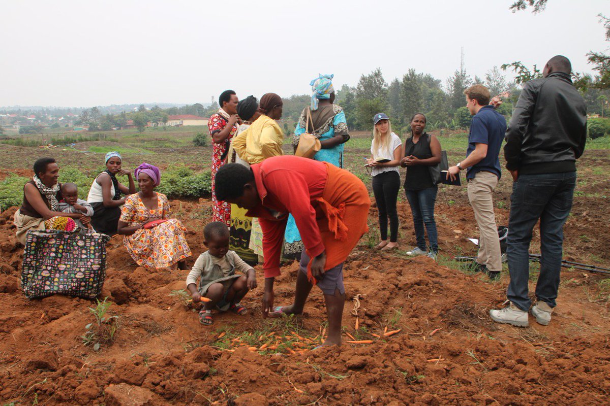 waterforfood's tweet photo. We're researching business models for #irrigation on #smallholder farms in #Rwanda by meeting with the farmers themselves and the people who work with them. Great insight into the trials and successes of these local farms.
#africa #globalnebraska #ag #agpolicy #water4food https://t.co/FZwipFGTSJ
