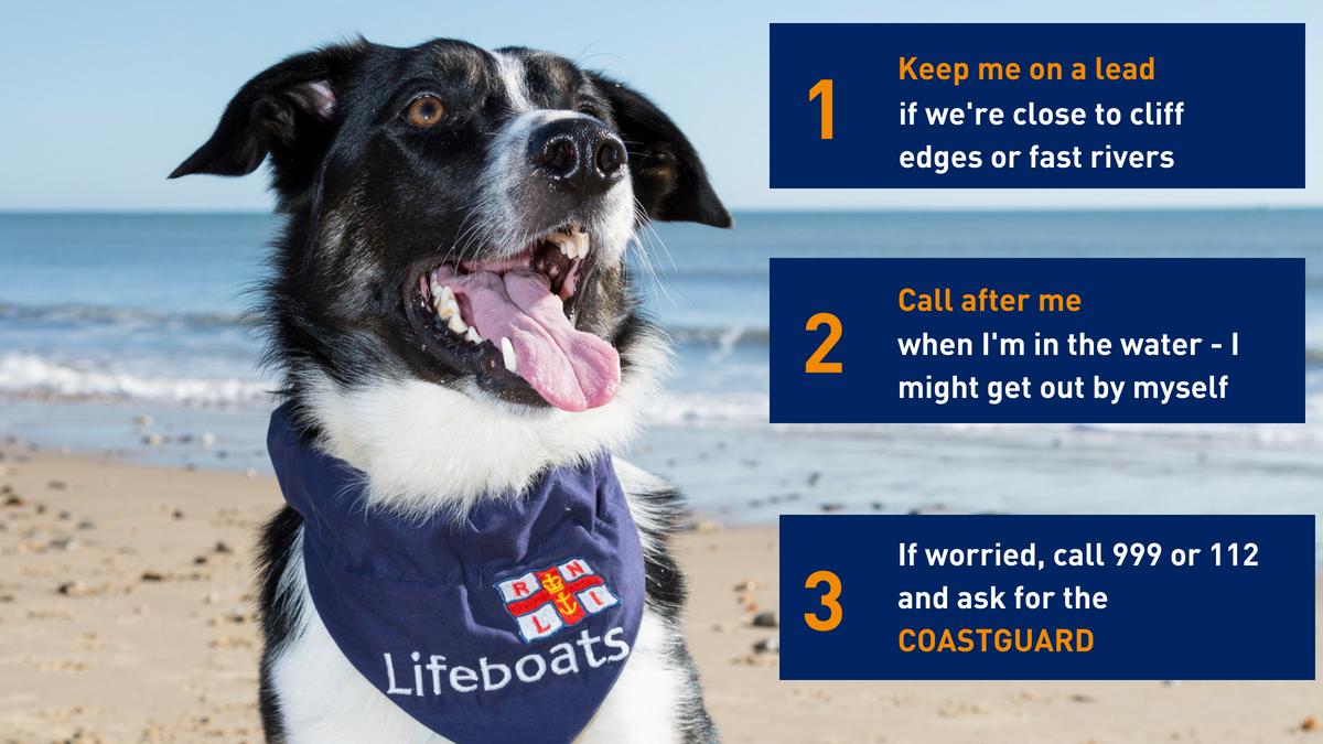 RNLI tweet media