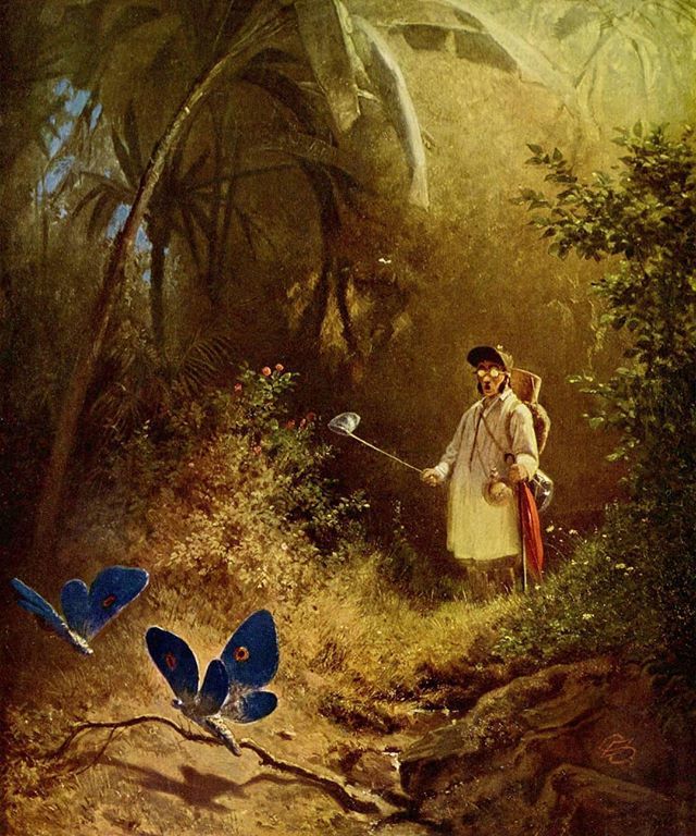 I have never seen butterflies this big... I love it. 😏🦋💐 Carl Spitzweg - The butterfly hunter, 1840

#arthistory #carlspitzweg #germanartidt #art #history #butterlies #painting ift.tt/2XgmDDf