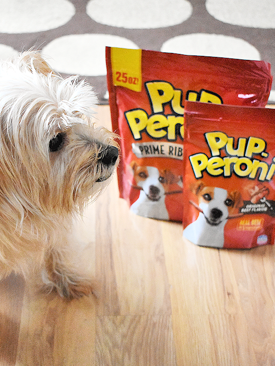#ad My dogs LOVE @PupPeroni Treats from @meijer! Is this cold weather getting your pup down? Crystal from @ourkidthings has some great ideas that keep a bounce in Snoop’s step even with the wintery chill: bit.ly/2NdeACu
Photo credit: @ourkidthings #Sponsored #WOOFYEAH