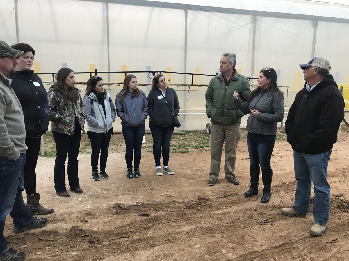 UnitedFresh's tweet image. John Farrington and Amalia Zimmerman-Lommel of Andrew &amp;amp; Williamson show United Fresh Leadership Program #Class24 their Hydroponic Strawberry and Tomato Shade Structures in San Quintin, Mexico. Applications for #Class25 are open!
hubs.ly/H0gK2qG0