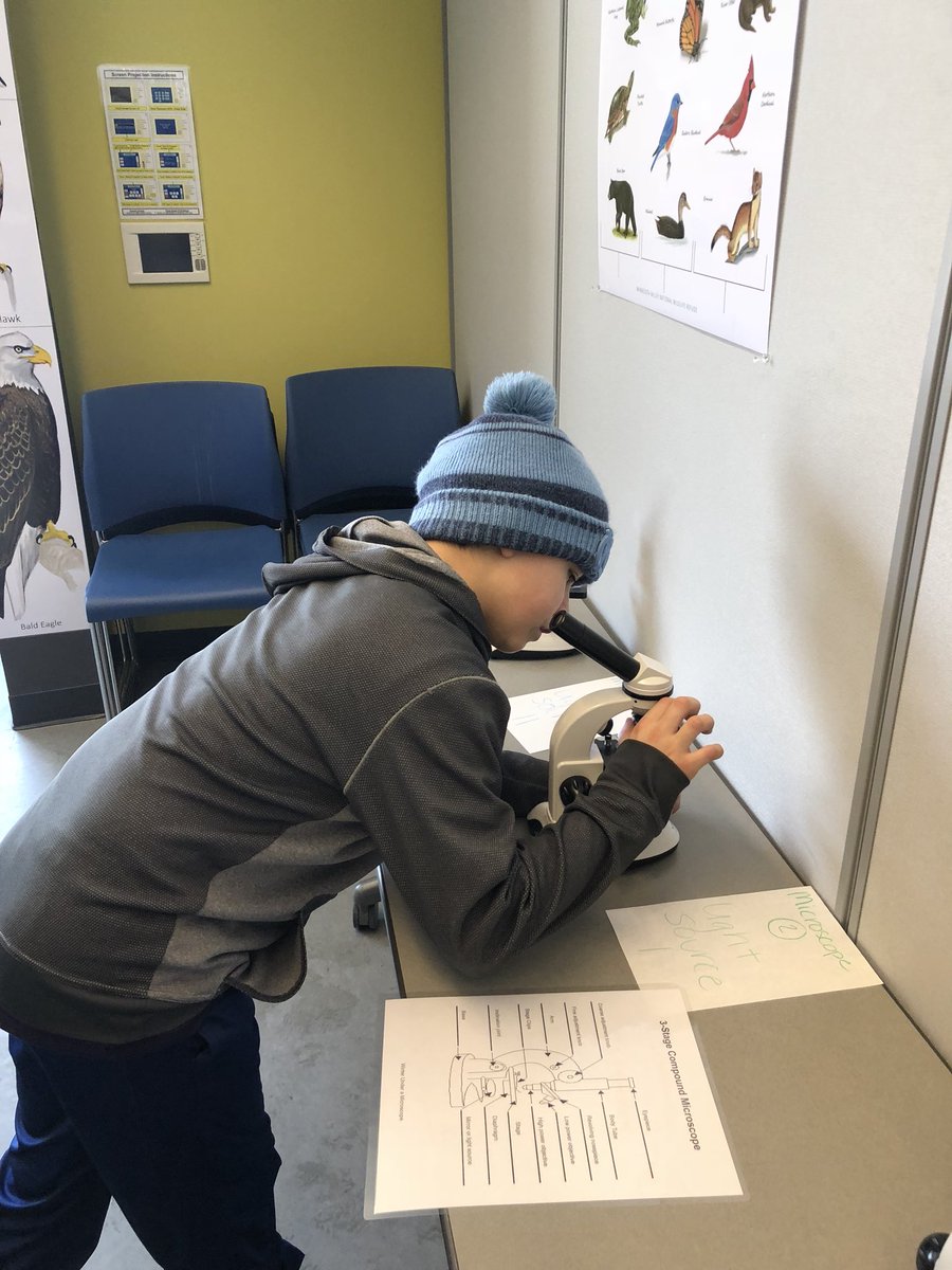 Microscope class at Rapids Lake <a href="/JesElementary/">JESElementary</a>
