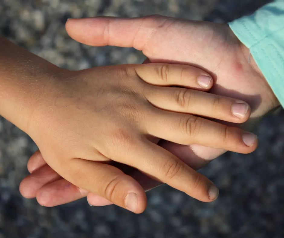 Dina Rishmawi Dinarishmawi Twitter