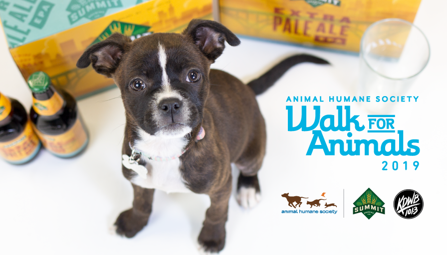 Animal_HumaneMN's tweet photo. Join us for a Walk for Animals registration event, Saturday 3/2 at @summitbeer in St. Paul! ๐บโค๏ธ๐พ Details: https://t.co/mHZp2PdOw0. #WalkforAnimalsMN #AnimalHumaneMN https://t.co/OuY2b5qQIG
