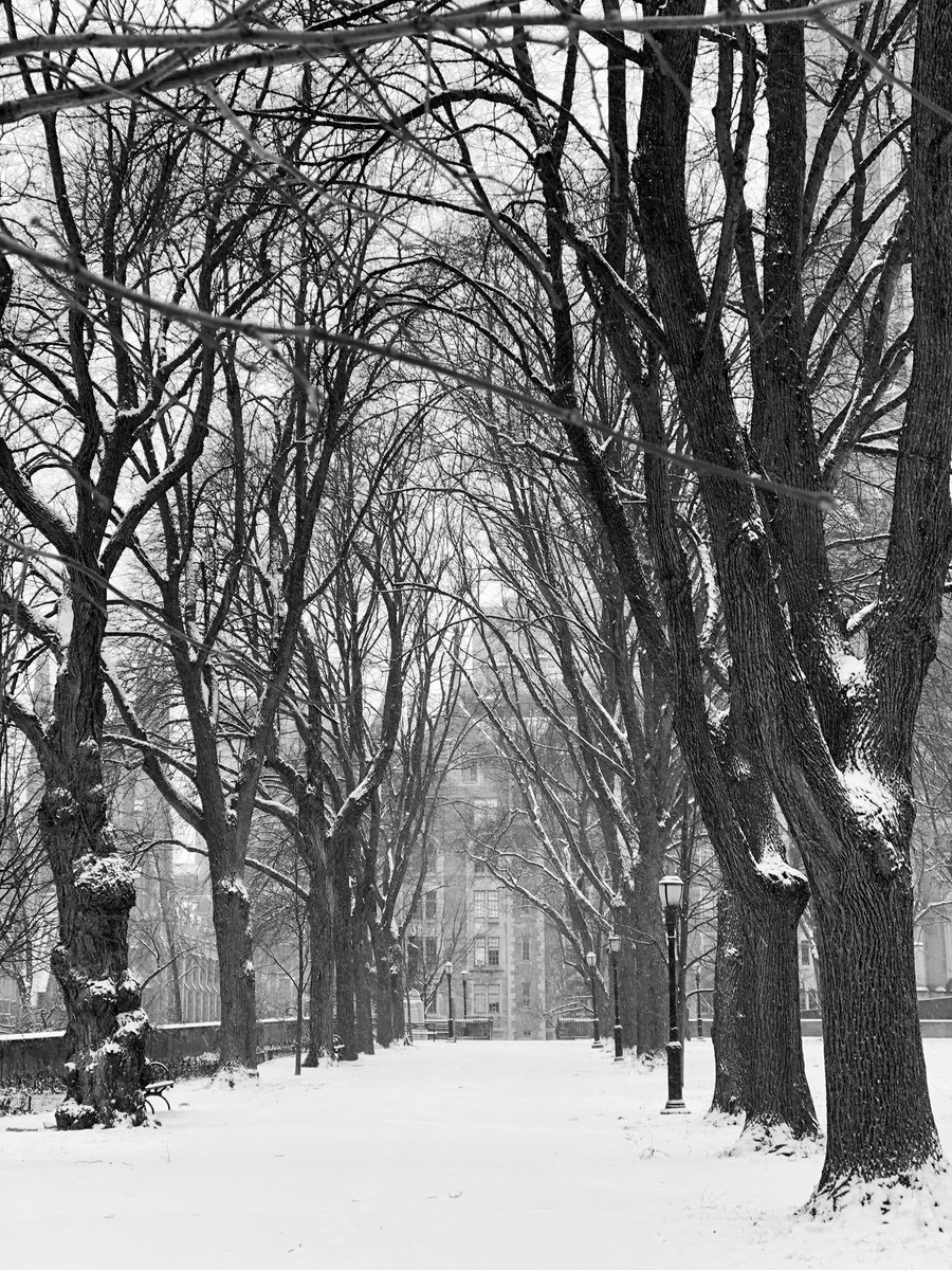 #foto #photography #photos #streetphotography #newyork #streetview #urban #bw #bnw #blackandwhitephotography #photography #noir @FollowCSP #streetphotography #noireetblanc #monochrome <a href="/AG_Exposed/">🅰️G▶️</a> @BJ_Images <a href="/BrownKbrown20/">Kevin E Brown</a> <a href="/ricsrecordrack/">RicsRecordRack</a> @NYCDailyPics