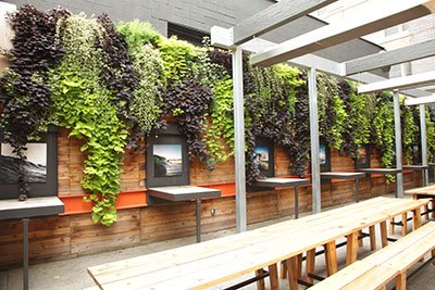 LandscapeMgmt's tweet image. As cityscapes expand outward, some landscape contractors have decided to grow upward by including green walls as an add-on service. Learn more: bit.ly/2GyMqRQ (Photo: Livewall)