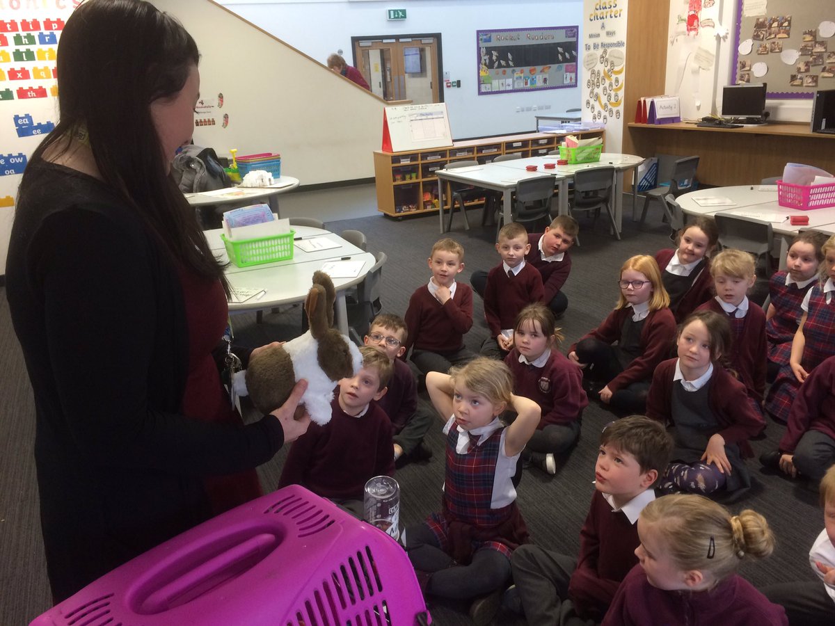 Thank you to SSPCA for coming to CPS. Pupils had a range of activities from P1-P7.