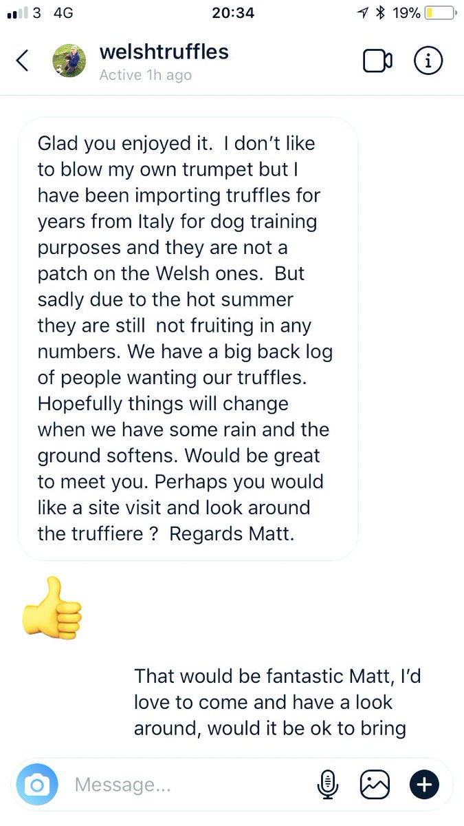 1927chef's tweet photo. @JimWealands @steveoram20011 @welshtruffles @magalhaes_helio 
How about a site visit chefs? They are looking good?
Matt how’s it looking there at the moment mate? When would be a good time?? https://t.co/E7uxPeyGgU