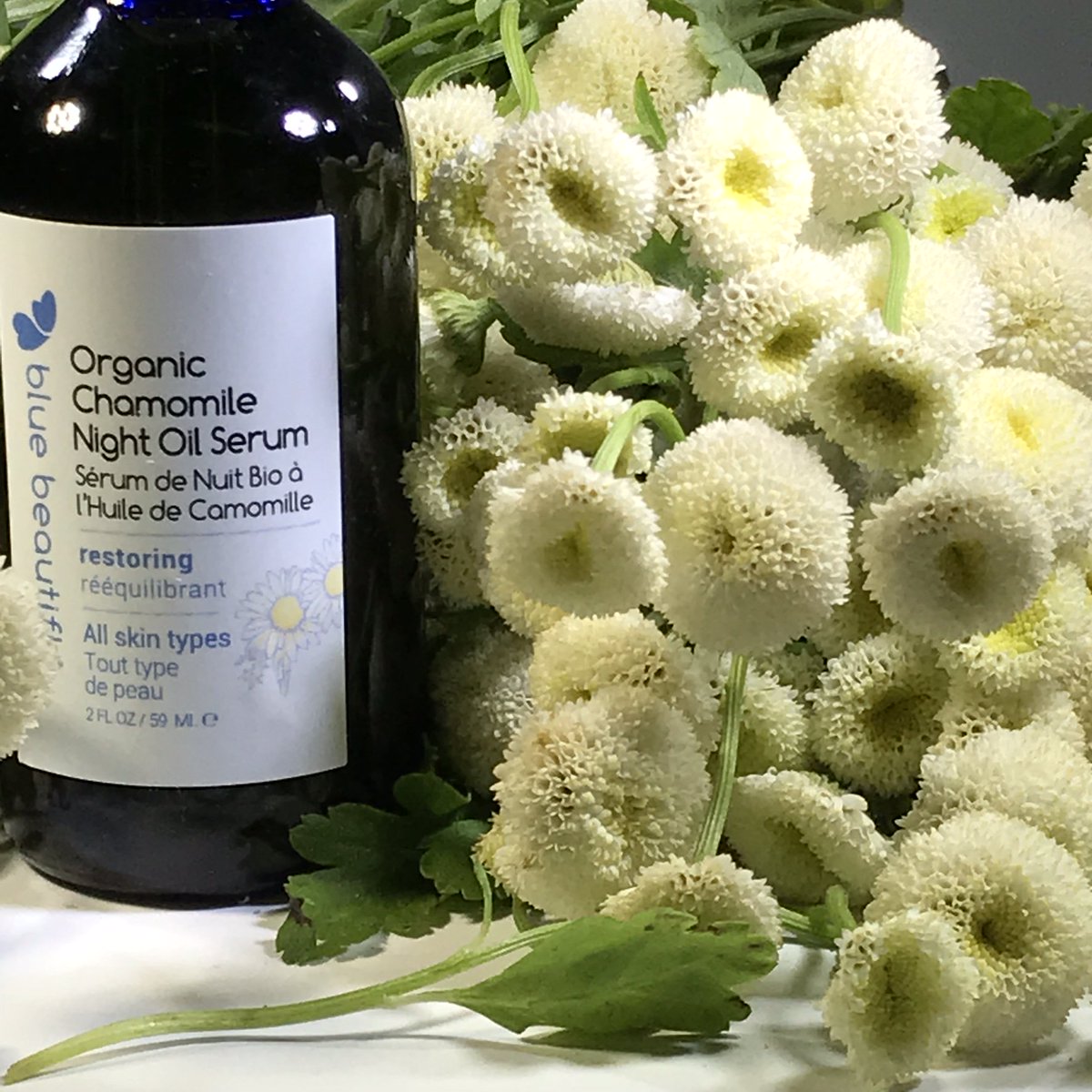 bluebeautifly's tweet photo. Magic in the bottle! The most calming and nourishing oil that combats skin imbalances and signs of aging. #plantbased #glowingskin #greenskincare #natureheals #peta #skinfood #veganskincare #bcorp #crueltyfree #notphonyorganics https://t.co/o3L0kkom0M
